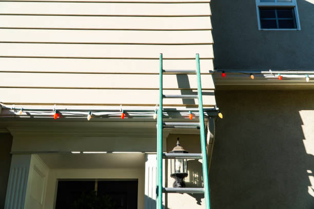 Best Brick Veneer Siding  in Sauk City, WI